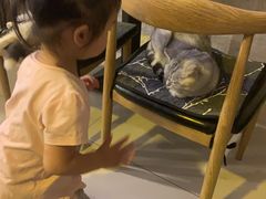 -平行世界·猫咖(首经贸店)