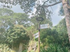 -深圳仙湖植物园
