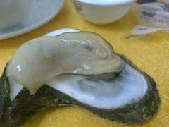 android_upload_pic-蚝专家(北滘店)