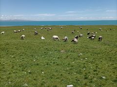 -青海湖国家重点风景名胜区