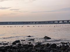 -宝安西湾红树林湿地公园