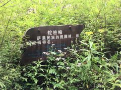 -峡谷浮石林景区