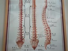 -杏林康桥中医正骨·体态矫正·跌打损伤·推拿按摩(国贸建外SOHO店)