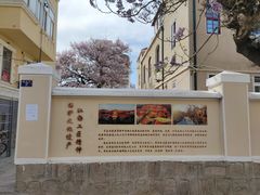 -上街里市集(悦喜客来广场店)