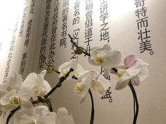 -五峰书院(南洋泾路店)