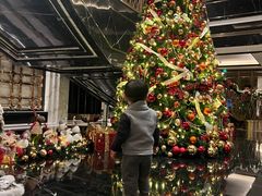 -上海苏宁宝丽嘉酒店·嘉府壹号中餐厅