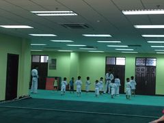 -武术世家少儿培训中心(首都体育学院店)