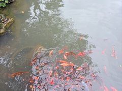 -灵栖洞天