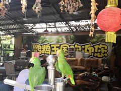 -观澜山水田园