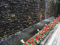 -老洋房花园饭店(绍兴路店)
