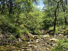 -玉渡山自然风景区