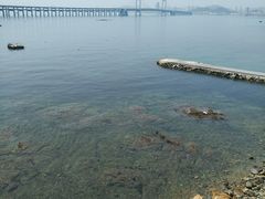 -星海湾跨海大桥
