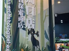 -北京周口店北京人遗址博物馆
