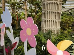 -南宫五洲植物乐园