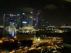 -新加坡文华东方酒店