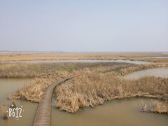 -盐城丹顶鹤湿地生态旅游区