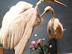 -深圳博物馆