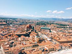 -圣母百花大教堂穹顶