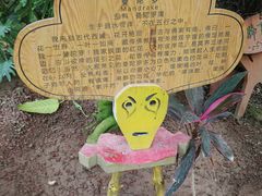 -呀路古热带植物园