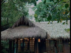 景点-中国茶叶博物馆(双峰馆区)