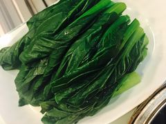 菜心-点点心点心专门店(旺角店)