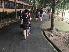 -清迈夜间动物园