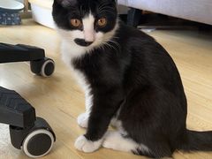 -达爱动物医院·犬猫分区·CT·复杂眼科(远洋山水分院)