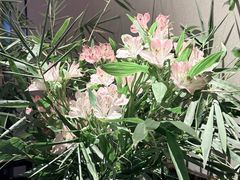 -江南雅厨(李公堤店)