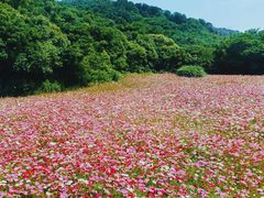 -南北湖风景区