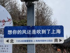 -上海海湾国家森林公园