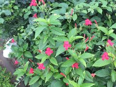 -清水湾3号(东方小周海鲜店)