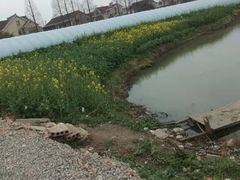 -喜杨洋草莓采摘园
