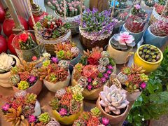 -双季花艺园艺市场(浦东店)