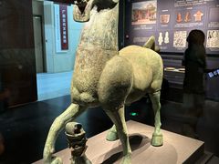 -广西壮族自治区博物馆