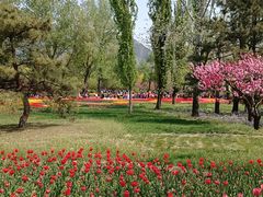 -国家植物园南园