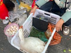 -小倪羊肉米线馆