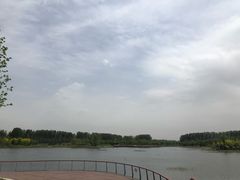 -东郊湿地公园