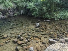 -大奇山国家森林公园
