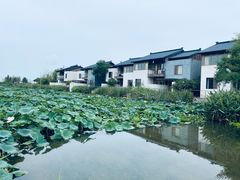 -祝甸砖窑文化馆