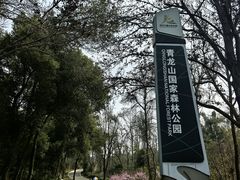 -青龙山国家森林公园