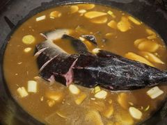 -姥家大锅台水库渔家