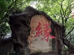 -杭州黄龙洞