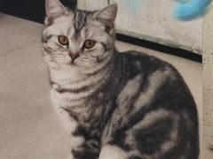 -共舞时光猫咖·狗咖(新街口店)