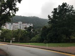 -大埔公路-马料水段香港中文大学(公交站)