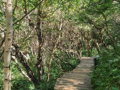 -白草畔自然风景区