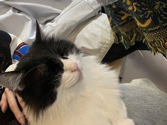 -平行世界·猫咖(首经贸店)