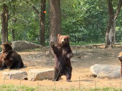 -北京野生动物园
