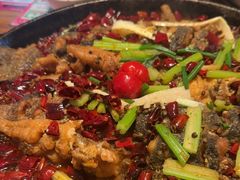 -老板恋上鱼(恒隆广场店)