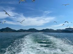 -海驴岛(荣成市)