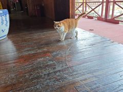 -南京金牛湖风景区